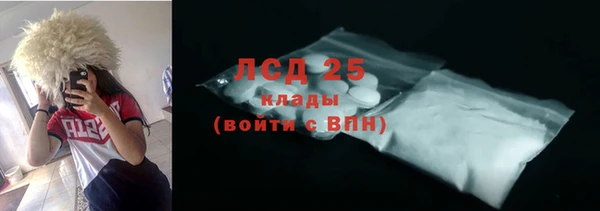 ECSTASY Лагань
